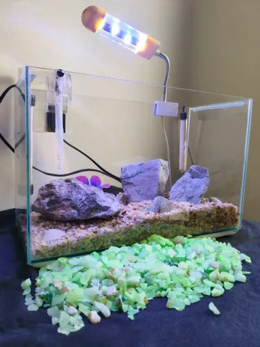 Aquário 15Litros COMPLETO