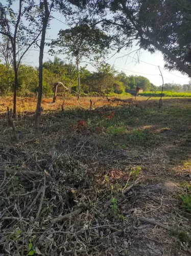 Terreno a venda