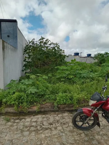 Vende-se terreno em São Domingos - SE
