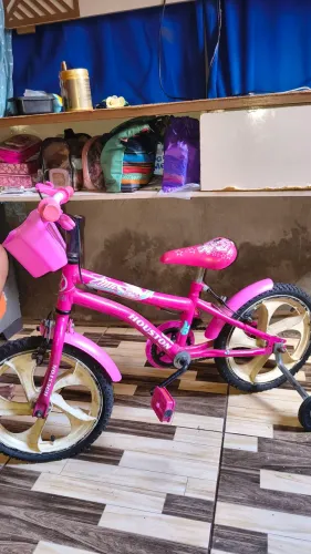 Bicicleta infantil feminina