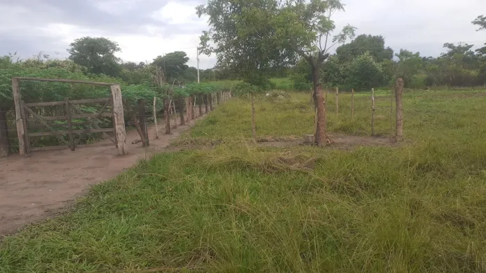 Vendo esse terreno