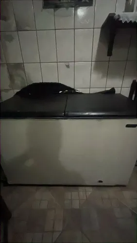 FREZZER 2 portas
