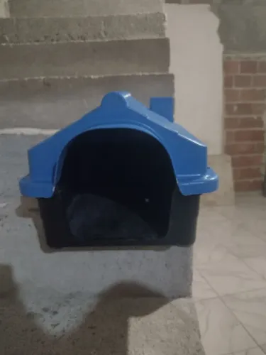 Casinha para cão ou gato.