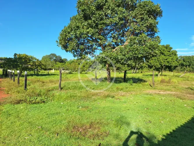 Sítio 12,5 Hectares em Poconé: Formado, com 2 Represas e apenas 6km da Cidade codigo: 3264