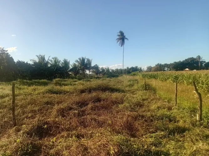 Vendo ou troco terreno no povoado itaperinha 19 de largura e 75 metros de comprimento