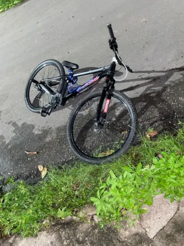 Bike gios 4all aro 29