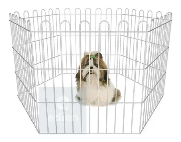 Cerca para Cachorro 65cm de Altura x 3,84 Cerquinha - Pronta Entrega Curitiba