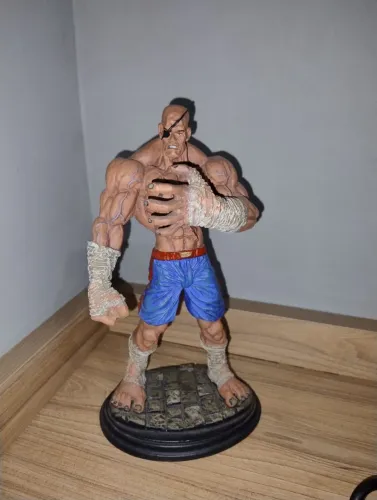 Sagat Street fighter