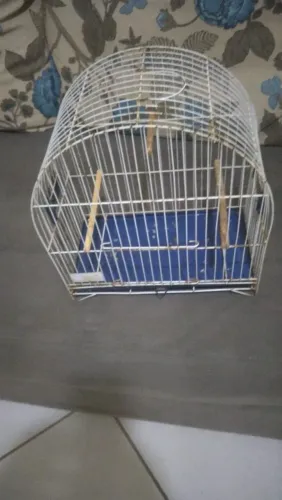 Gaiola de ferro para coleiro.