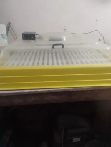 Chocadeira 200 ovos