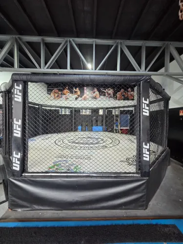 Octógono MMA 6x6