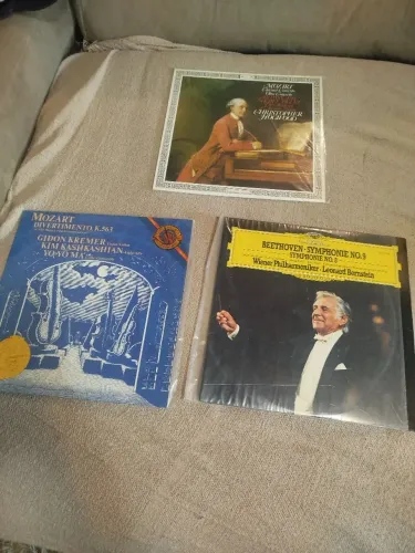 Discos de Vinil Colecionador