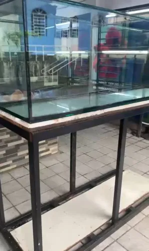 Aquário Grande Novo 1metro e meio