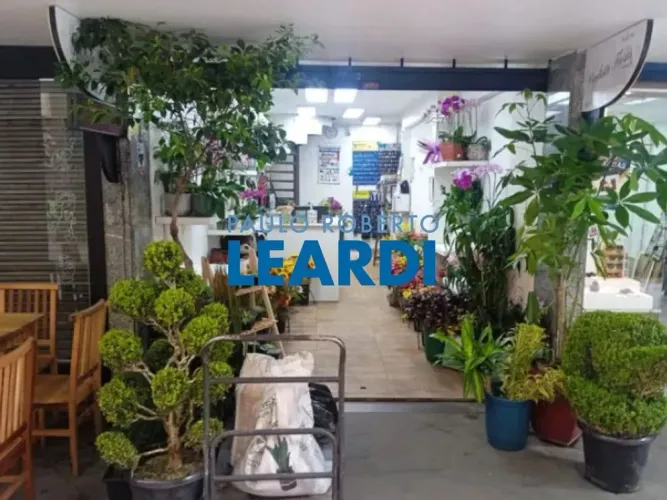 LOJA - BELA VISTA - SP