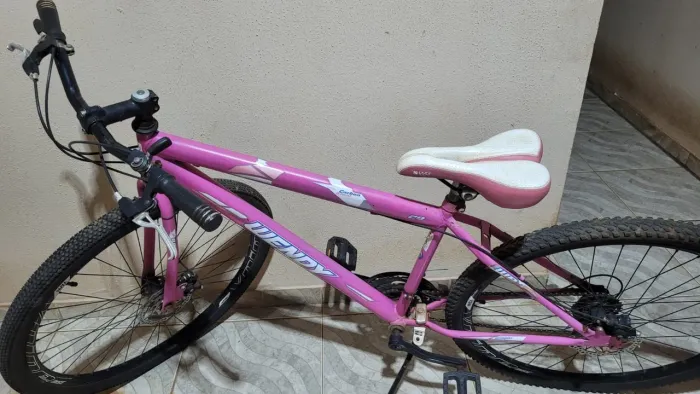 Bicicleta aro 29