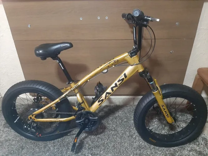 Fat bike aro 20