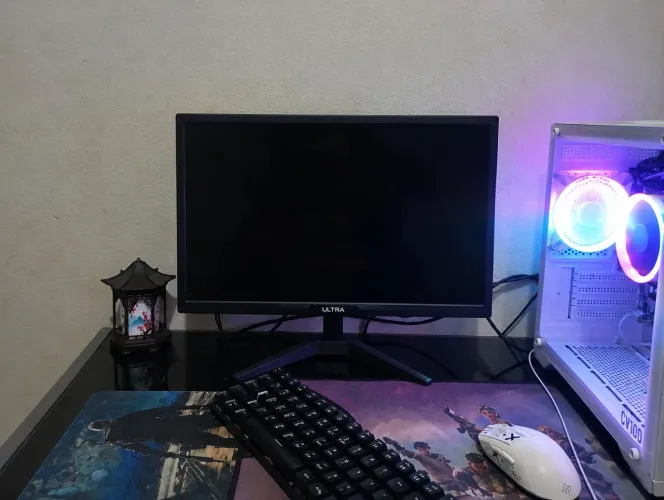 MONITOR 21'