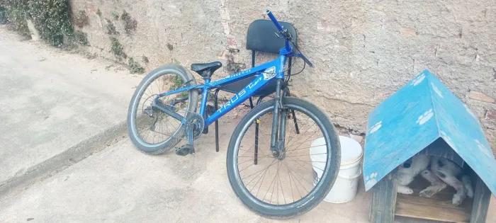 Bike modelo Trust