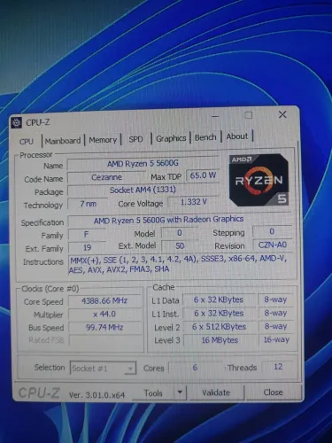 ryzen 5 5600g + A520 pro