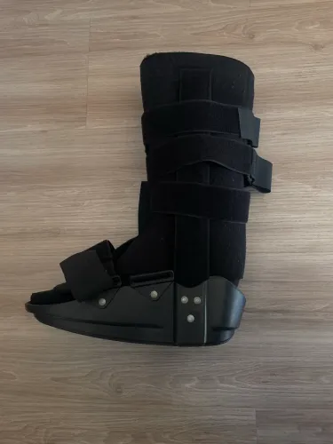 Bota