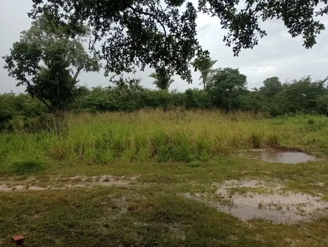 Terreno no assentamento guandu