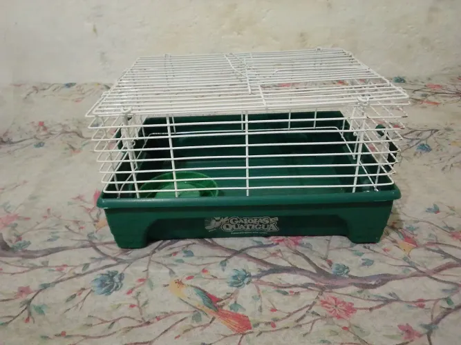 Gaiola hamster japonês