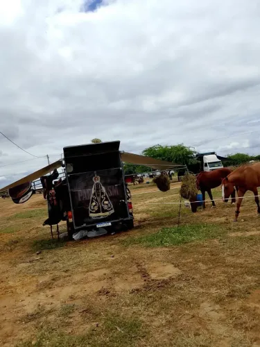Reboque pra cavalo