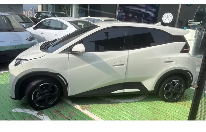 BYD Dolphin Mini (Elétrico) 2025