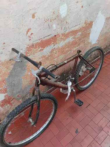 Bicicleta