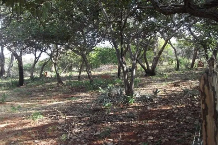 Grande oportunidade, chácara de 10.000m² no ?pé? da Serra do Cipó (Temos varias opções).