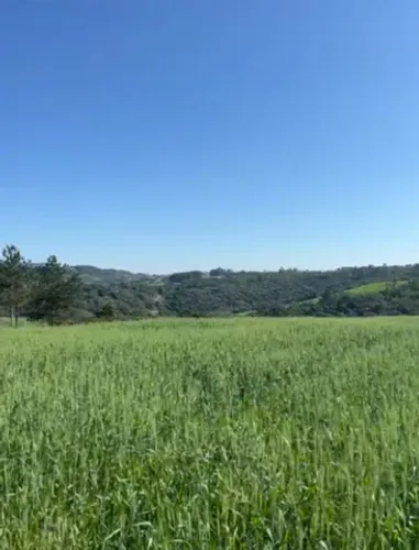 Fazenda em 10 anos para pagar 142 alqueiro