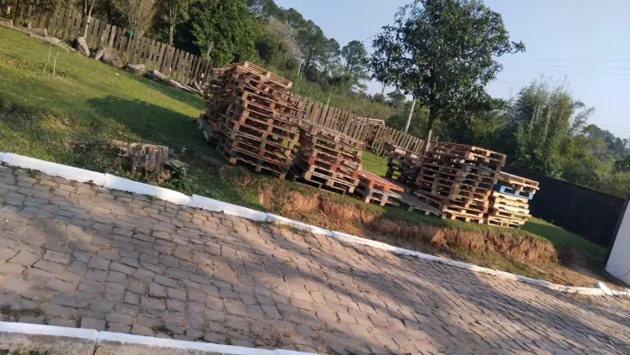 Pallet PBR 12.00 descartável 6.00
