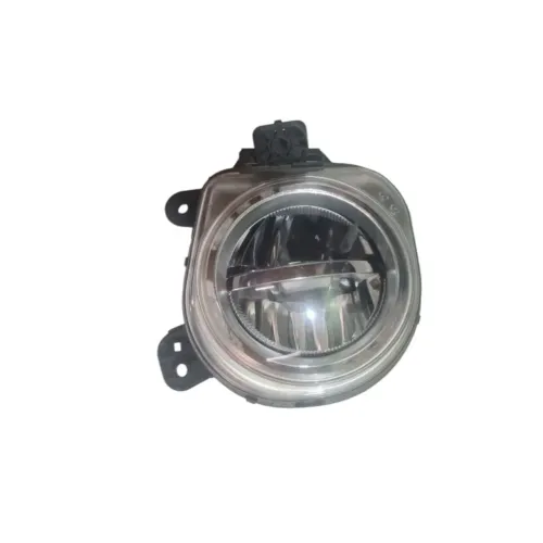Farol de milha BMW X3 X4 X5 X6 14/19 LE