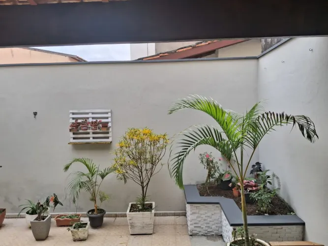 Pingadeiras para muro