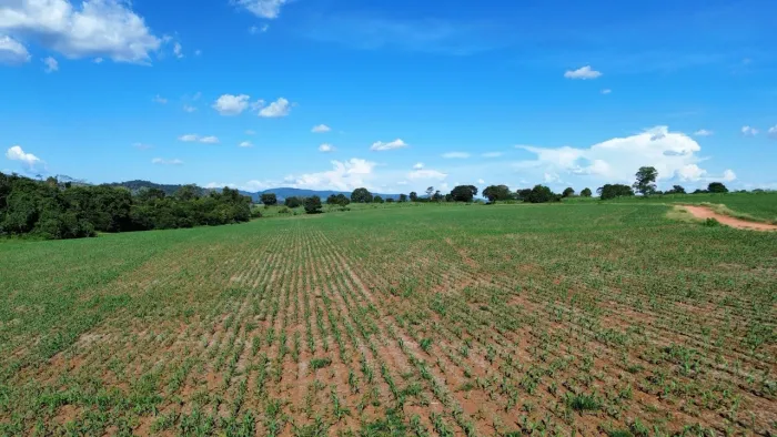 Vendo Fazenda