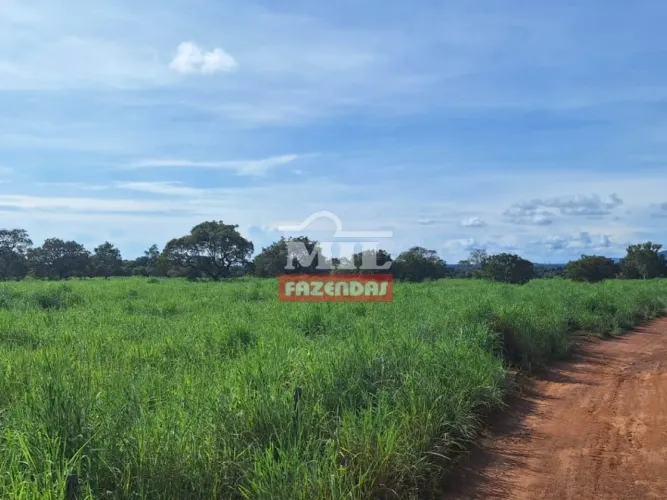 Fazenda 47,3 alqueires ( 228,93 hectares ) Pugmil - Tocantins