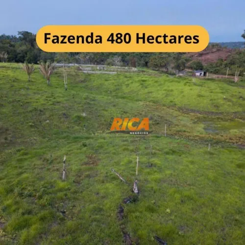 Fazenda com 3 dormitórios à venda, 4800000 m² por R$ 2.800.000,00 - Área rural de Apuí - A