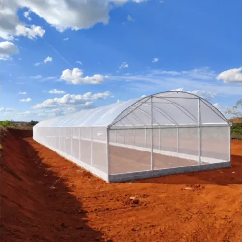 ESTUFA AGRÍCULA 10L X 51C X 4A