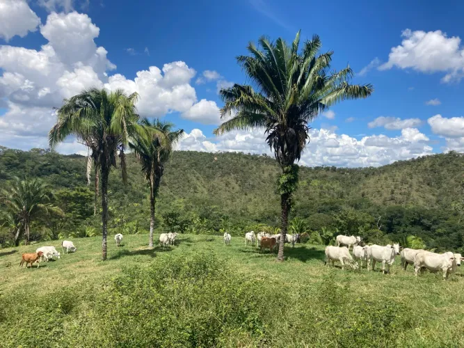 Vendo fazenda, à 65 km do plano piloto 