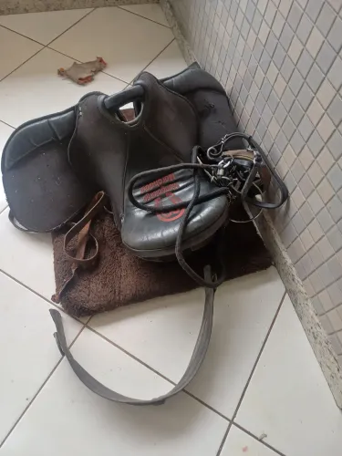 Kit para cavalo 