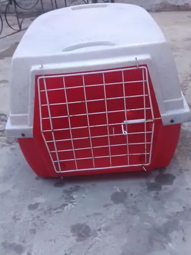 Caixa de transporte de animal