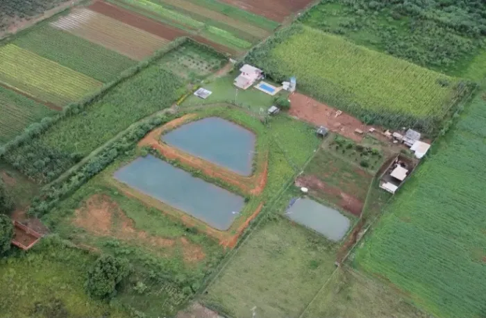 Chácara com 6.5 hectares