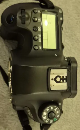 Canon 6D