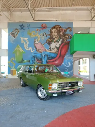 Chevrolet Caravan L/sl/s/ss 2.5/4.1/4.2 1976