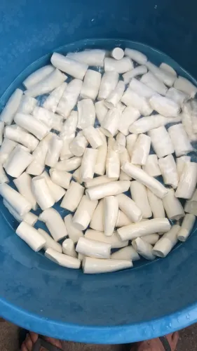 Macaxeira descascada