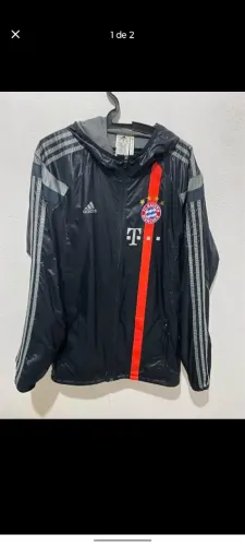 Seda Bayer GG