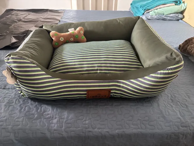 Caminha para Gato ou Cachorro