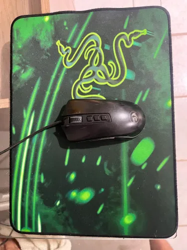 Mouse