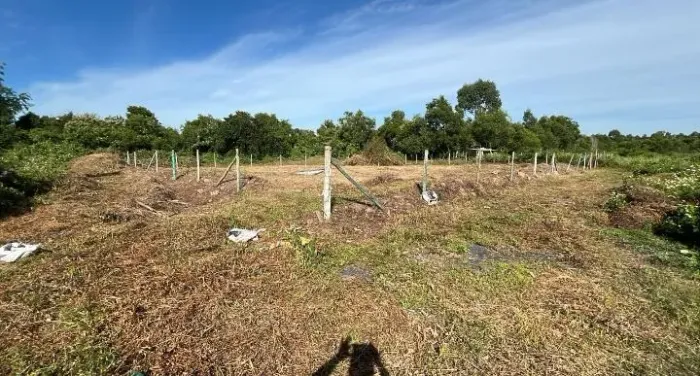 LOTE MORADA DA BARRA