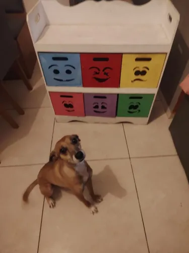 gaveteiro de madeira infantil